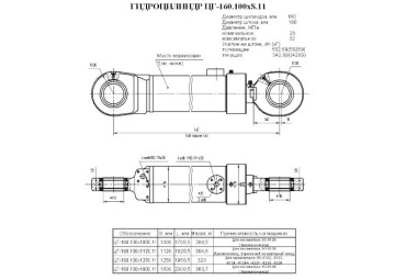 ЦГ-160.100х1600.11