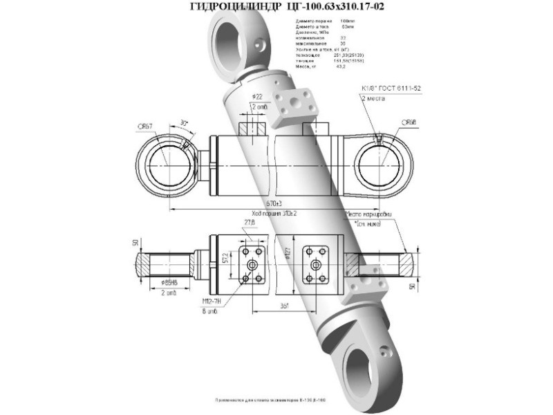 ЦГ-100.63х310.17-02