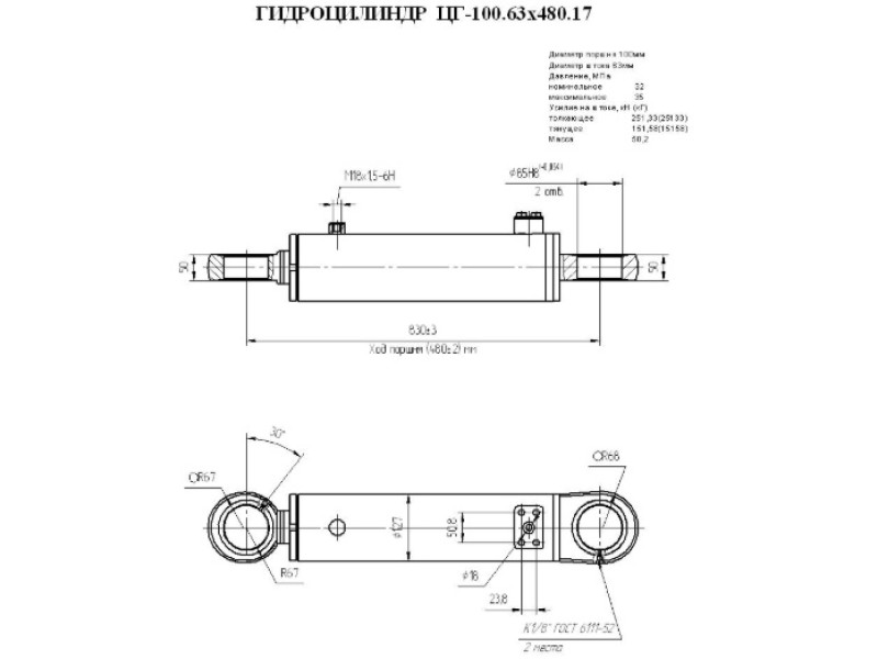 ЦГ-100.63х480.17