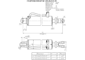ЦГ-100.40х300.01.000-05