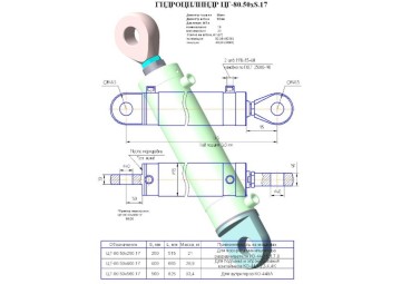 ЦГ-80.50х400.17