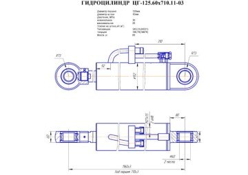 ЦГ-125.60х710.11-03