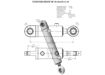 ЦГ-80.40х320.11-03