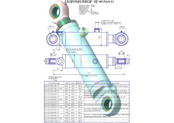 ЦГ-80.56х900.11