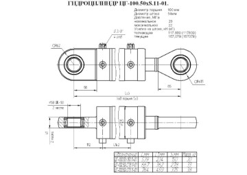ЦГ-100.50х278.11-01