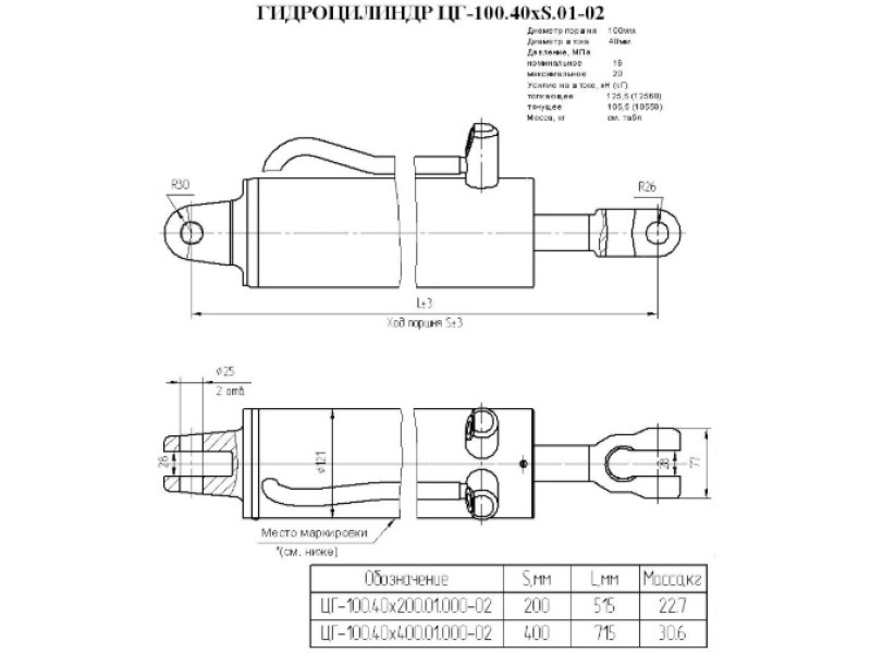 ЦГ-100.40х200.01.000-02