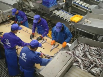 Гидравлическая станция для линии разделки рыбы